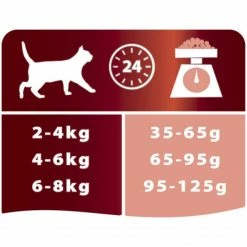 PURINA PRO PLAN Cat Adult Optirenal Saumon & Riz -Alimentation boutique cat adult salmon rice 2