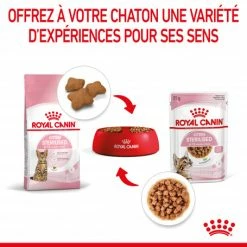 Cat Kitten Stérilisé Royal Canin Emincé En Sauce Sachet Repas -Alimentation boutique cat kitten royal canin emince en sauce sachet repas 13