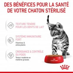 Cat Kitten Stérilisé Royal Canin Emincé En Sauce Sachet Repas -Alimentation boutique cat kitten royal canin emince en sauce sachet repas 14