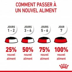 Cat Kitten Stérilisé Royal Canin Emincé En Sauce Sachet Repas -Alimentation boutique cat kitten royal canin emince en sauce sachet repas 15