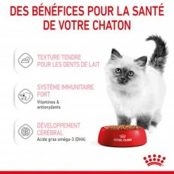 Cat Kitten Royal Canin Emincé En Sauce Sachet Repas -Alimentation boutique cat kitten royal canin emince en sauce sachet repas 6