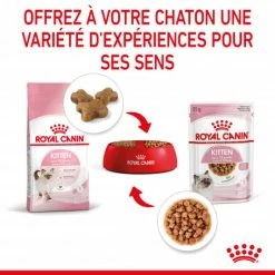 Cat Kitten Royal Canin Emincé En Sauce Sachet Repas -Alimentation boutique cat kitten royal canin emince en sauce sachet repas 7