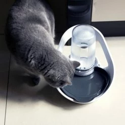 Materiel Distributeur Automatique D'eau Felaqua Connect -Alimentation boutique distributeur automatique d eau felaqua connect 1