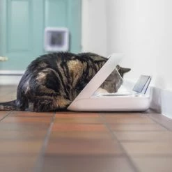 Materiel Distributeur Automatique De Nourriture SureFeed Connect 15 Materiel Distributeur Automatique De Nourriture SureFeed Connect -Alimentation boutique distributeur automatique de nourriture surefeed connect 5