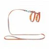 Materiel Ensemble Harnais / Laisse Chat Hunter -Alimentation boutique ensemble harnais laisse chat hunter