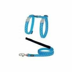 Materiel Ensemble Harnais / Laisse Chat Red Dingo