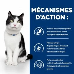 HILL'S Pet Nutrition I/d Digestive Boîte Pour Chat Et Chaton Poulet 14 HILL'S Pet Nutrition I/d Digestive Boîte Pour Chat Et Chaton Poulet -Alimentation boutique feline i d digestive care activ biome boite 4