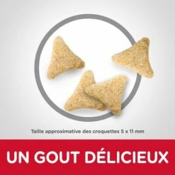 HILL'S Pet Nutrition Feline Mature Hairball Control Poulet -Alimentation boutique feline mature hairball control poulet 2
