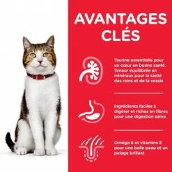 HILL'S Pet Nutrition Feline Mature Adult 7+ Poulet 6 HILL'S Pet Nutrition Feline Mature Adult 7+ Poulet -Alimentation boutique hills feline mature adult 7 poulet 1