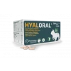 Pharmadiet Hyaloral Chiot, Petites Et Moyennes Races -Alimentation boutique hyaloral chiot petites et moyennes races
