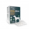 Pharmadiet Hyaloral Grandes Et Très Grandes Races -Alimentation boutique hyaloral grande et tres grandes races