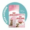 Pack'Avenue Royal Canin CAT KITTEN STERILISED 3,5KG Avec émincé En Sauce -Alimentation boutique pack croissance chatons sterilises Royal Canin