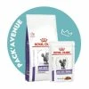 Pack'Avenue Royal Canin Cat Mature Consult Balance 10KG Avec Sachet Repas 2 Pack'Avenue Royal Canin Cat Mature Consult Balance 10KG Avec Sachet Repas -Alimentation boutique pack croquettes chat senior sterilise