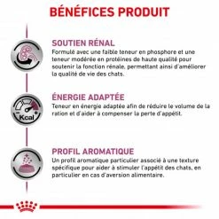 ROYAL CANIN Veterinary Health Nutrition Cat Renal Poulet Sachet -Alimentation boutique royal canin veterinary diet cat renal poulet boite 2