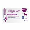 ANIDEV Silycure 160mg -Alimentation boutique silycure 160mg