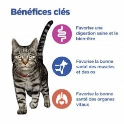 HILL'S Pet Nutrition Vet Essentials Chat Multi-Benefit Adulte Poulet Sachet Repas -Alimentation boutique vet essentials chat multi benefit adult 1 poulet sachet repas 2