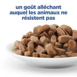 HILL'S Pet Nutrition Vet Essentials Chat Multi-Benefit Adult 1+ Saumon Sachet Repas 16 HILL'S Pet Nutrition Vet Essentials Chat Multi-Benefit Adult 1+ Saumon Sachet Repas -Alimentation boutique vet essentials chat multi benefit adult 1 saumon sachet re 5