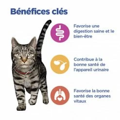 HILL'S Pet Nutrition Vet Essentials Chat Multi-Benefit Mature Adulte 7+ Poulet Sachet Repas 12 HILL'S Pet Nutrition Vet Essentials Chat Multi-Benefit Mature Adulte 7+ Poulet Sachet Repas -Alimentation boutique vet essentials chat multi benefit matur adulte 7 poulet sachet repas 2