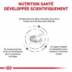 ROYAL CANIN Veterinary Health Nutrition Cat Mobility -Alimentation boutique veterinary diet cat mobility 2