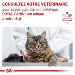 ROYAL CANIN Veterinary Health Nutrition Cat Mobility -Alimentation boutique veterinary diet cat mobility 7